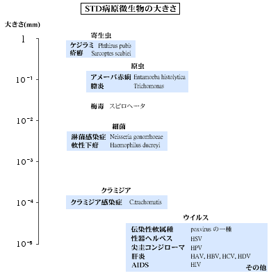 性感染症01